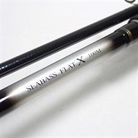 ２３シーバスフラットＸ１００Ｍ